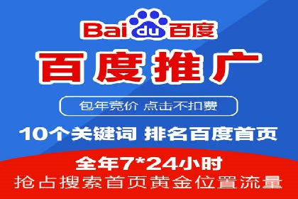 实战技巧：竞价推广案例解析与优化策略